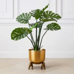 Nikki Chu - Jaguar Planter 7 Nikki Chu - Jaguar Planter -Home Promotion Store 122424803 71996.1690292789.386.513