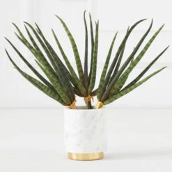 Faux Snake Grass Pick - Set Of 3 -Home Promotion Store 209204912 67761.1690278982.386.513 1