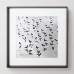 Escher's Seagulls -Home Promotion Store 730157566 50446.1690292292.386.513