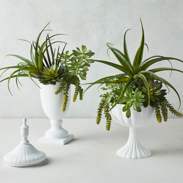 Lina Collection 1 Lina Collection