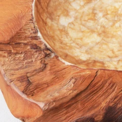 Organic Capiz Bowl -Home Promotion Store webimage 160160778 DTL