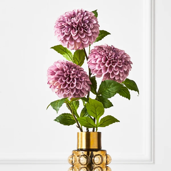 Dusty Purple Bulb Dahlia - Set Of 3 1 Dusty Purple Bulb Dahlia - Set Of 3