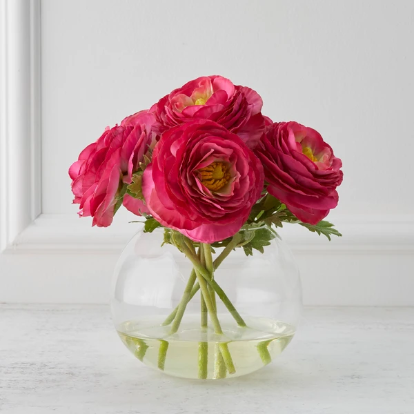 Ranunculus In Glass - Fuchsia 1 Ranunculus In Glass - Fuchsia