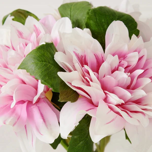 Dahlia In Glass - Blush 2 Dahlia In Glass - Blush - Image 2