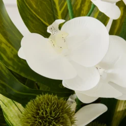 Phalaenopsis Leaf In Glass -Home Promotion Store webimage 168192665 dtl2