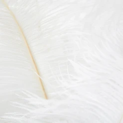 Ostrich Spray - Set Of 3 17 Ostrich Spray - Set Of 3 -Home Promotion Store webimage 205473069 1 jpg