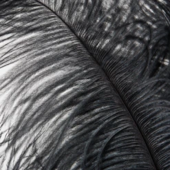 Ostrich Spray - Set Of 3 14 Ostrich Spray - Set Of 3 -Home Promotion Store webimage 205481273 1 jpg