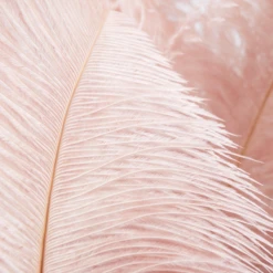 Ostrich Spray - Set Of 3 -Home Promotion Store webimage 205481274 1 jpg 1