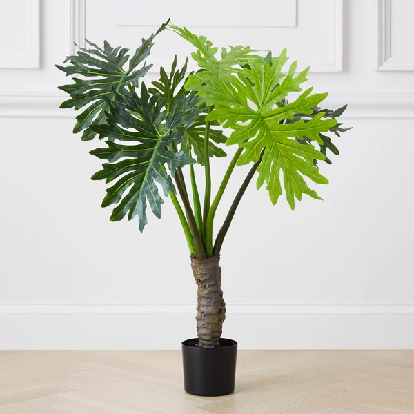 Plume Leaf Tree 1 Plume Leaf Tree