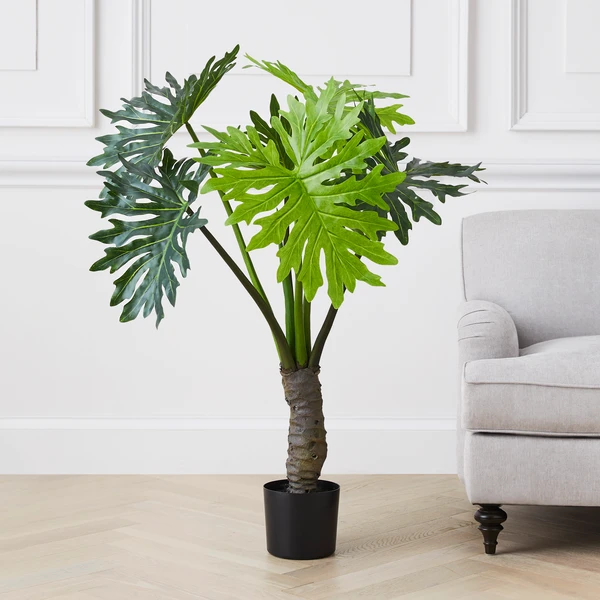 Plume Leaf Tree 2 Plume Leaf Tree - Image 2