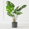 Faux Monstera In Pot