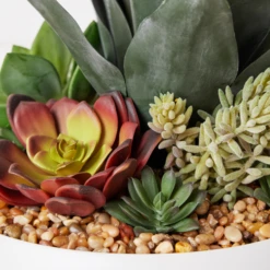Succulent Assortment In Bowl -Home Promotion Store webimage 207999711 dtl