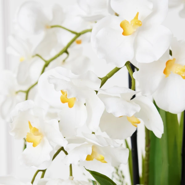 Orchids In Bowl With Stand 2 Orchids In Bowl With Stand - Image 2