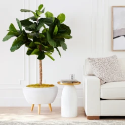 Fiddle Leaf Tree In Bowl 9 Fiddle Leaf Tree In Bowl -Home Promotion Store webimage 207999719 alt6 DSI FIDDLE LEAF IN WHITE POT rv 1
