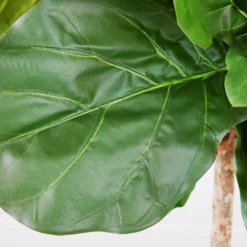 Fiddle Leaf Tree In Bowl 7 Fiddle Leaf Tree In Bowl -Home Promotion Store webimage 207999719 dtl1