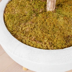 Fiddle Leaf Tree In Bowl 8 Fiddle Leaf Tree In Bowl -Home Promotion Store webimage 207999719 dtl2