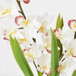 Cymbidium In Glass Vase 6 Cymbidium In Glass Vase -Home Promotion Store webimage 207999720 dtl1
