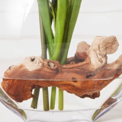 Cymbidium In Glass Vase 7 Cymbidium In Glass Vase -Home Promotion Store webimage 207999720 dtl2