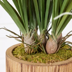 Areca In Wood Stand -Home Promotion Store webimage 207999721 dtl1