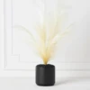 Plume In Kendall Pot