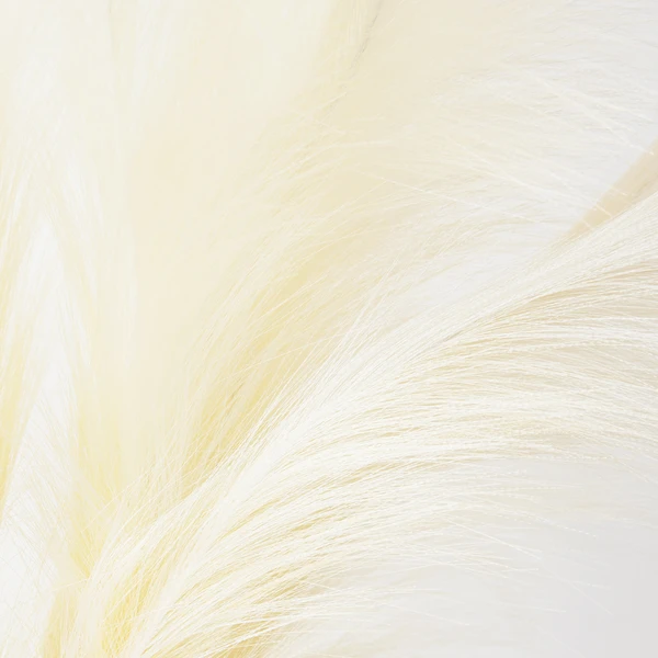 Plume In Kendall Pot 2 Plume In Kendall Pot - Image 2