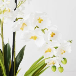 Orchids In Glass Bowl 34 Orchids In Glass Bowl -Home Promotion Store webimage 207999723 dtl1