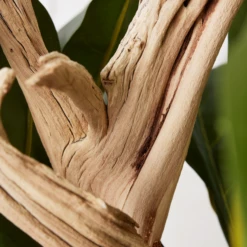 Fiddle Leaf Branches In Bowl 6 Fiddle Leaf Branches In Bowl -Home Promotion Store webimage 207999724 dtl1