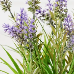 Lavender In Grey Pot 5 Lavender In Grey Pot -Home Promotion Store webimage 207999958 dtl2