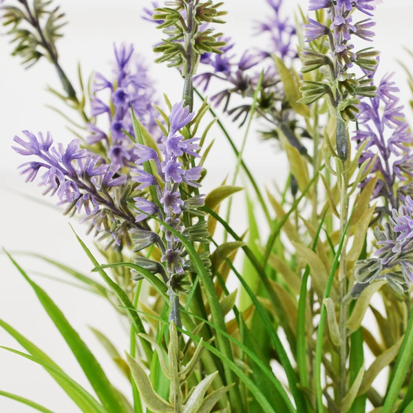 Lavender In Grey Pot 3 Lavender In Grey Pot - Image 3
