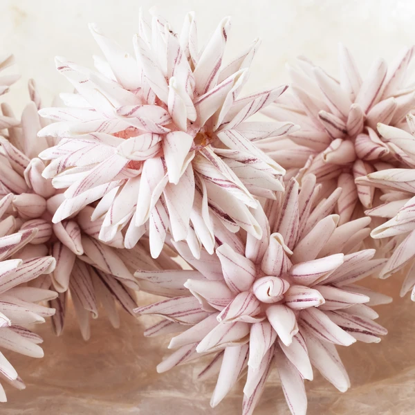 Faux Allium Sphere - Set Of 9 3 Faux Allium Sphere - Set Of 9 - Image 3