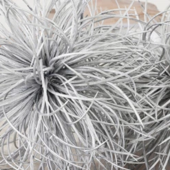 Metallic Sphere -Home Promotion Store webimage 209209486 dtl