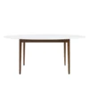 Zenni Dining Table