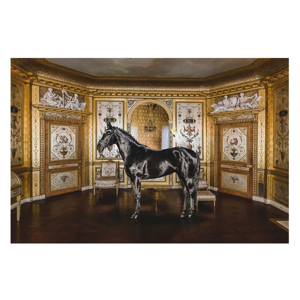 Unusual Couple 1 Unusual Couple