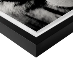 Wild Tiger 8 Wild Tiger -Home Promotion Store webimage 630164770 630133051 DTL2