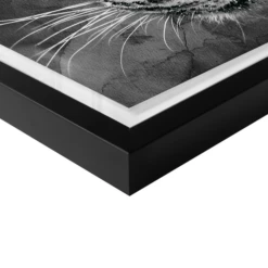 Leopard Spots -Home Promotion Store webimage 630371298 630311422 630301417 DTL2