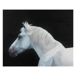 Luna 5 Luna -Home Promotion Store webimage 630384130 SIL