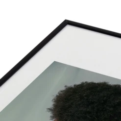 Venus 2 -Home Promotion Store webimage 630727209 DTL2