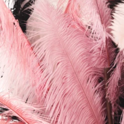 Ostrich Spray - Set Of 3 12 Ostrich Spray - Set Of 3 -Home Promotion Store webimage 999206273 999203485 999680913 999524372 999934525 GRP DTL