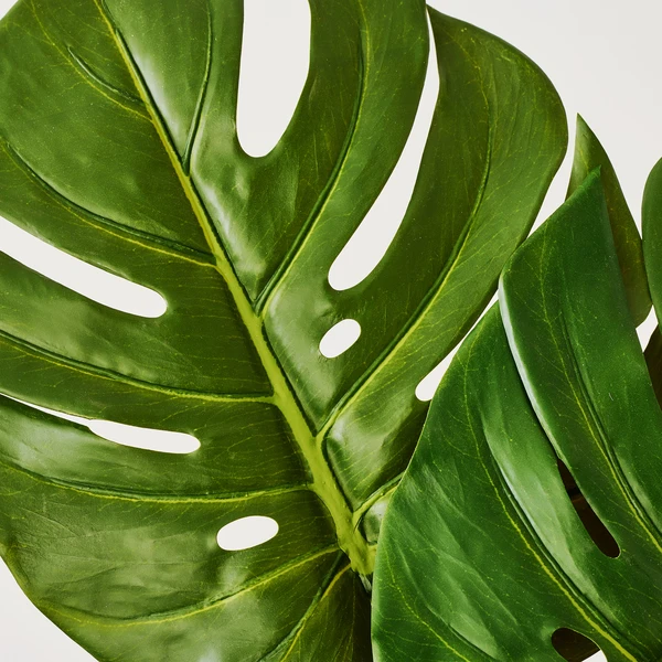 Faux Small Split Philo Leaf - Set Of 3 3 Faux Small Split Philo Leaf - Set Of 3 - Image 3